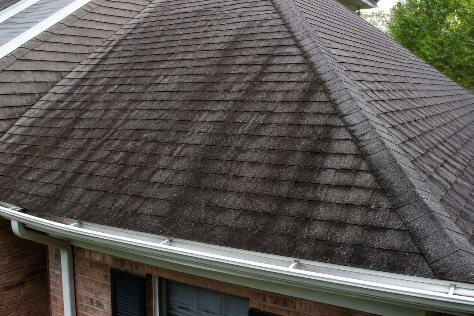 Before: Roof β black algae streaks gone